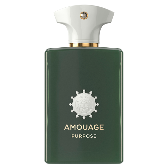 Amouage Purpose Man EDP (100 ml)
